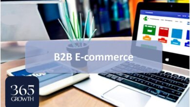 b2b e commerce
